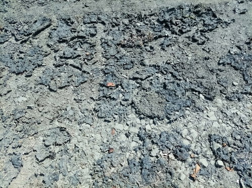 小石交じりの地べた（テクスチャ）