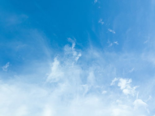 薄雲のいい天気