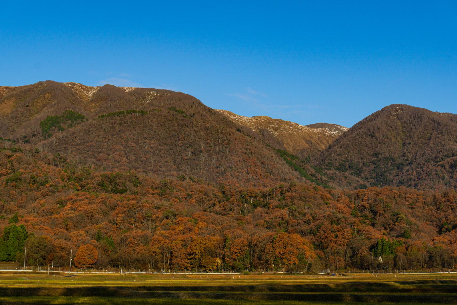 秋の紅葉に染まった山々と澄んだ秋空、谷間の田んぼが見える山里の風景