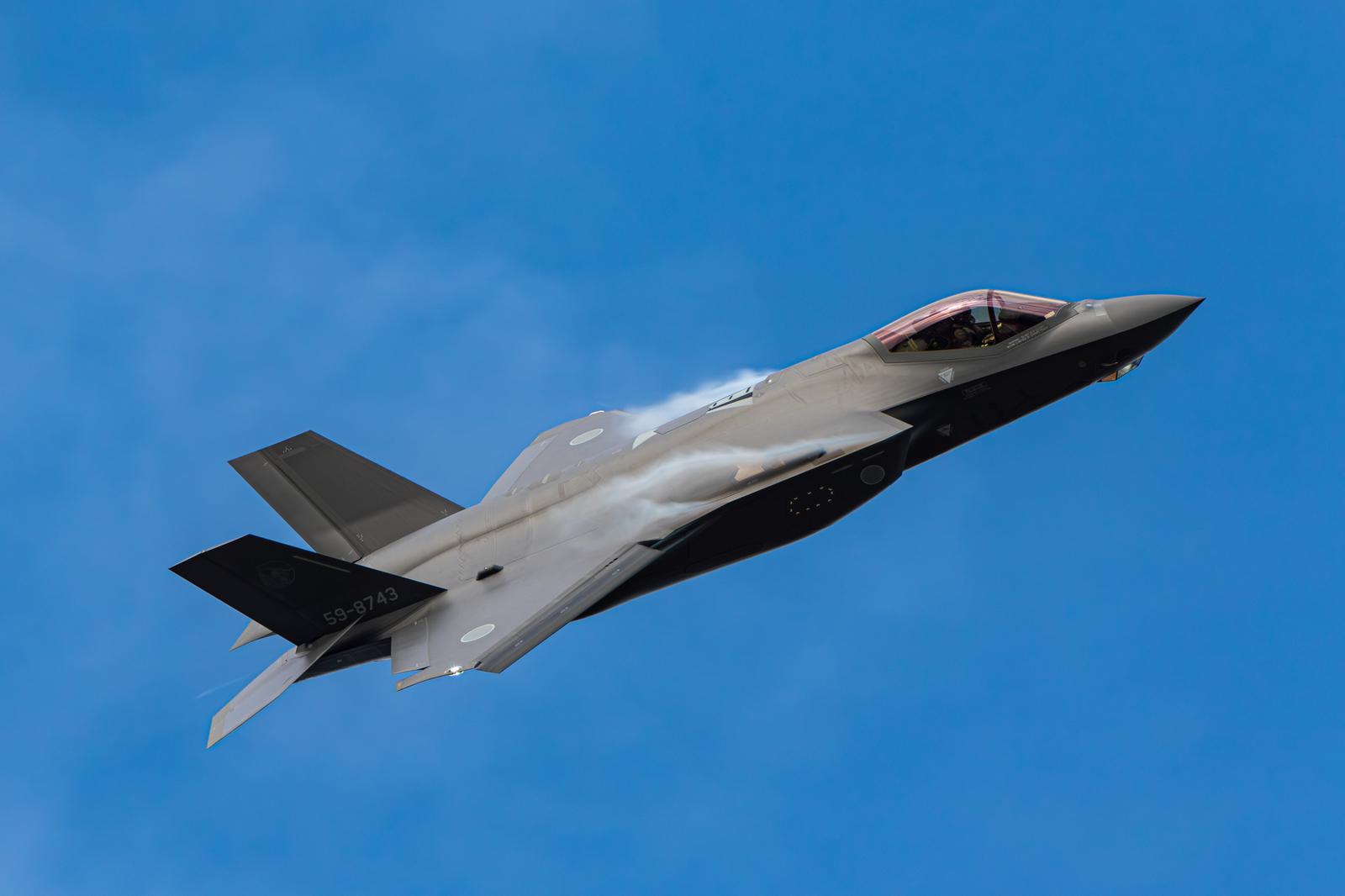 青空を背景に飛行するグレー色のステルス戦闘機