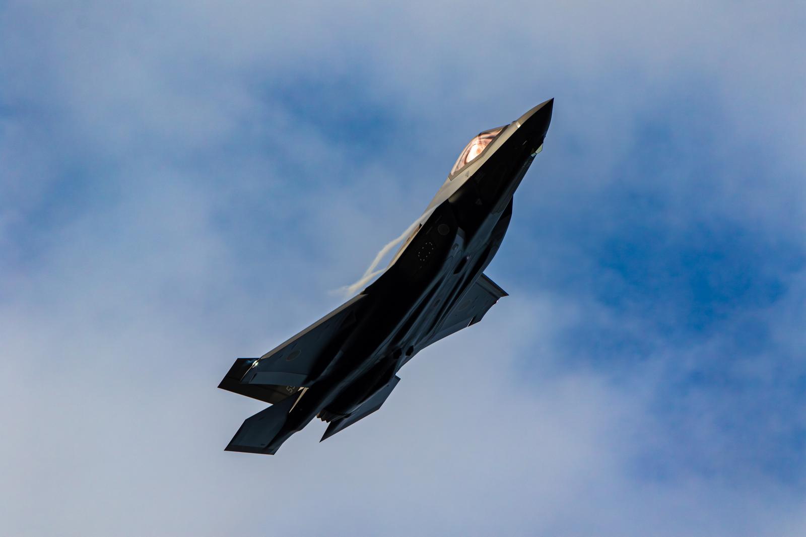 A Japanese Air Self-Defense Force's stealth fighter jet flying against a backdrop of blue sky and clouds