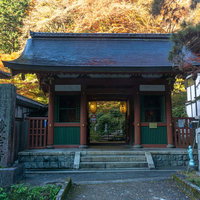 朝日に輝く紅葉の木々を背景に静かに佇む江戸中期建立の愛宕念仏寺仁王門の写真