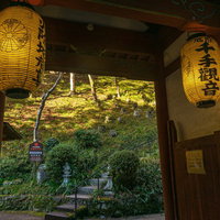 仁王門に灯された提灯とその向こうに見える本堂へと続く石段の写真