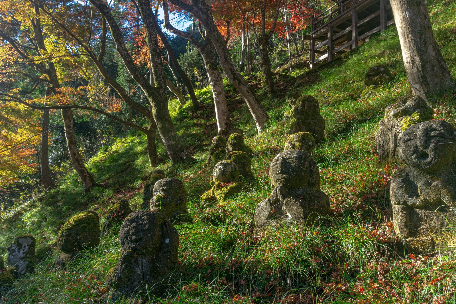 愛宕念仏寺の地蔵堂下斜面に苔むした羅漢像が並ぶ様子