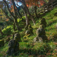 地蔵堂下の斜面に並ぶ羅漢像の写真