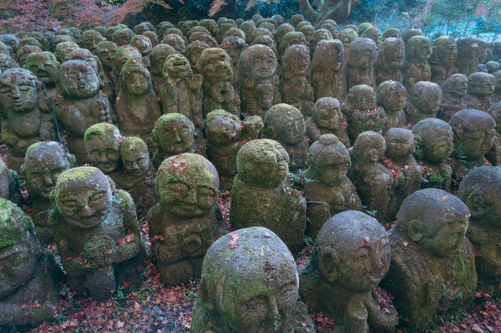 愛宕念仏寺の境内に整然と並ぶ多数の羅漢像の石仏群