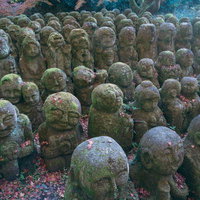 様々な姿形、表情で並ぶ多くの羅漢像の写真