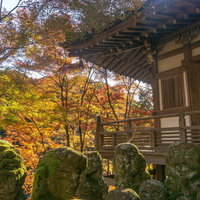 地蔵堂手前に並ぶ羅漢像と地蔵堂を囲む色とりどりに染まる木々の写真