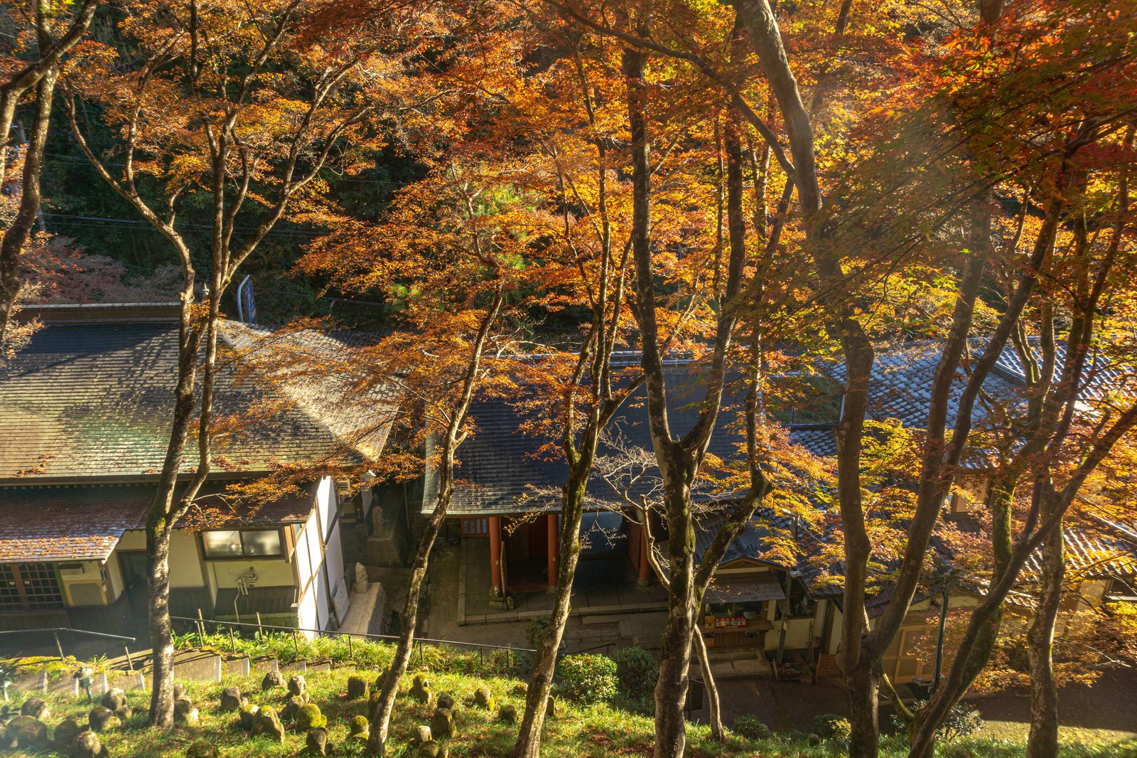 地蔵堂から見た紅葉の木々越しに建つ愛宕念仏寺の仁王門