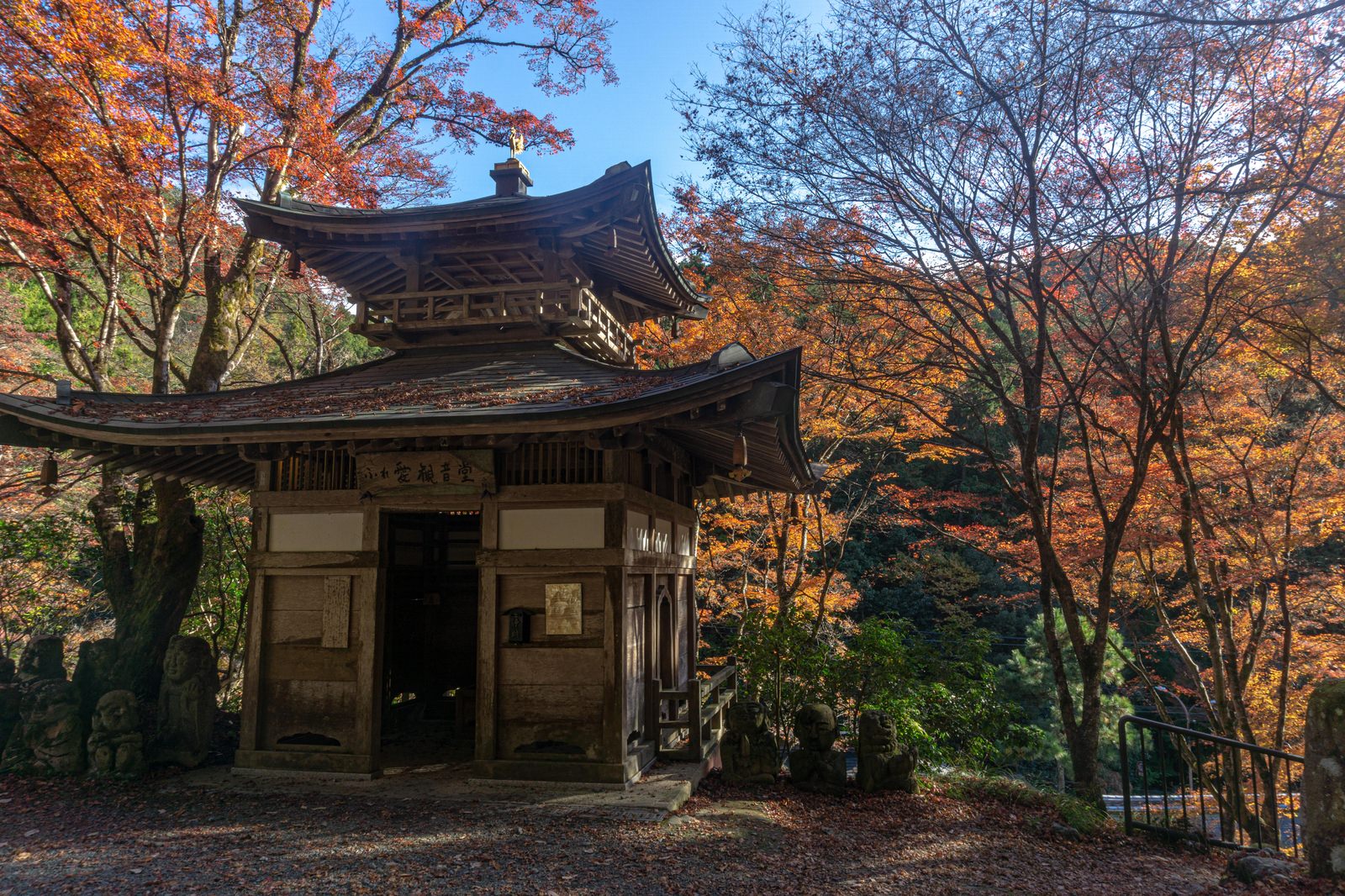 紅葉に囲まれた愛宕念仏寺のふれ愛観音堂