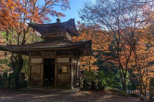 赤く染まる木々に囲まれた愛宕念仏寺のふれ愛観音堂