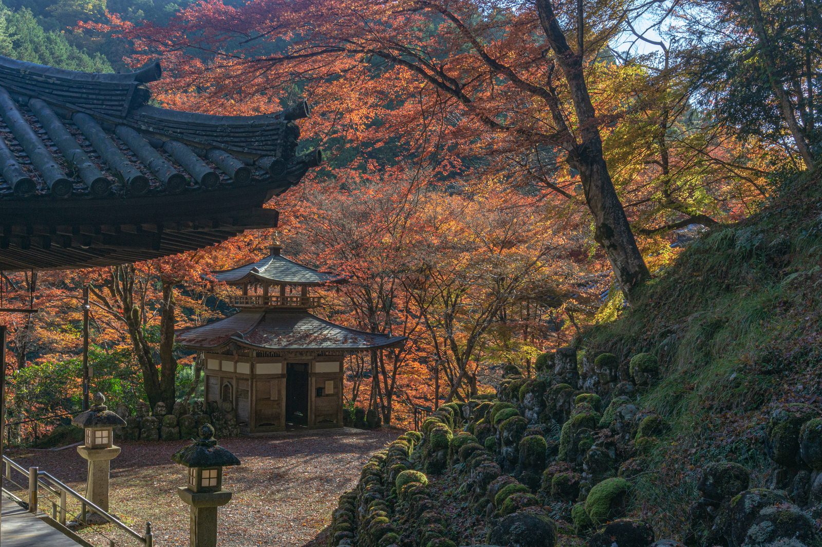 紅葉に囲まれた愛宕念仏寺の境内、石造りの羅漢像と愛観音堂