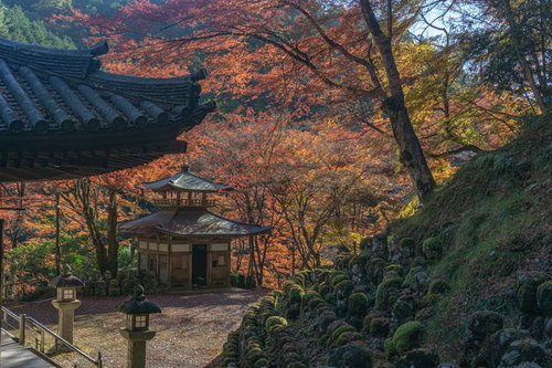 多宝塔から見下ろした紅葉に囲まれたふれ愛観音堂と羅漢像