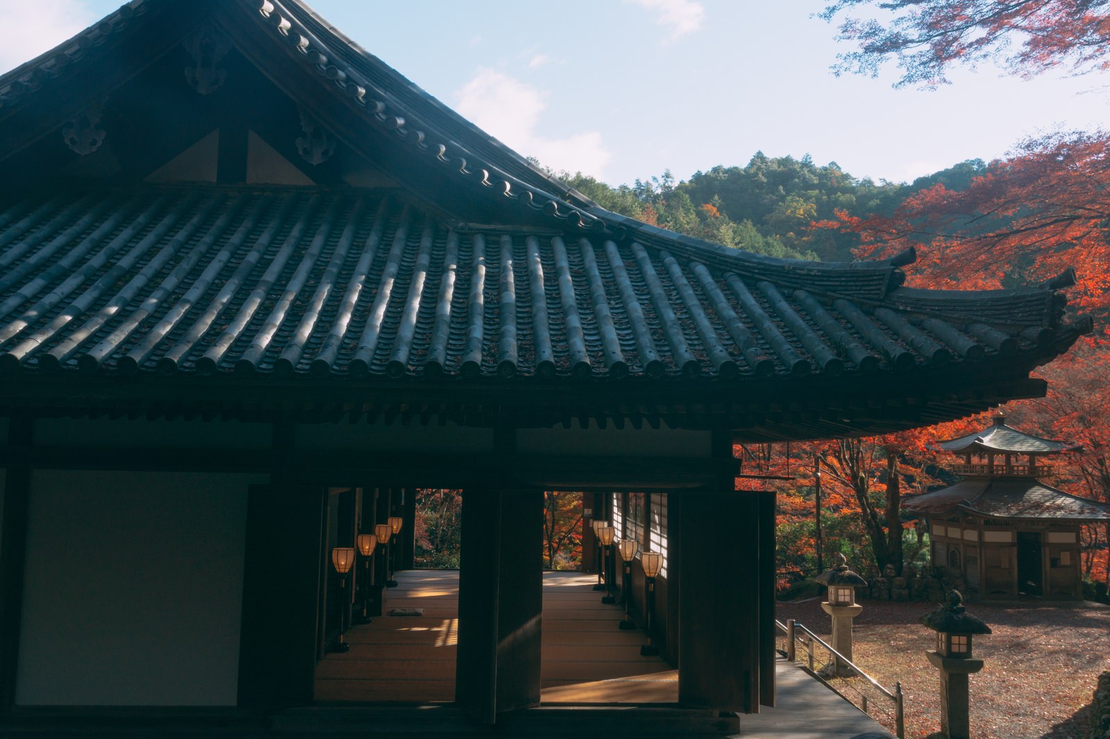 多宝塔から見下ろす愛宕念仏寺の本堂とふれ愛観音堂