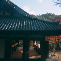 多宝塔から見下ろす本堂とふれ愛観音堂の写真