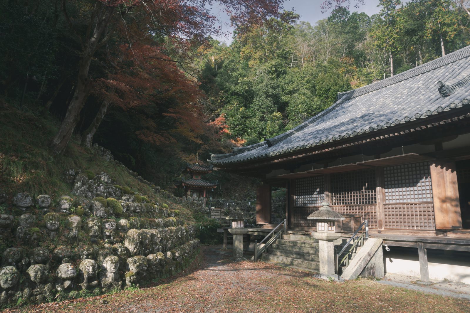 愛宕念仏寺の境内にある木造本堂と背景の紅葉に囲まれた多宝塔