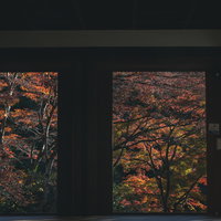まるで絵画の様にも見える開け放たれた本堂北側の扉の向うの紅葉の木々の写真