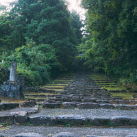 早朝の空気に包まれた白山神社の社号標と精進坂の写真