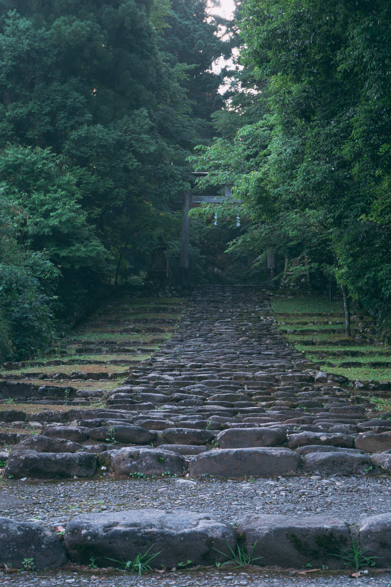 苔むした石段の参道の先に立つ平泉寺白山神社の朱色の一の鳥居