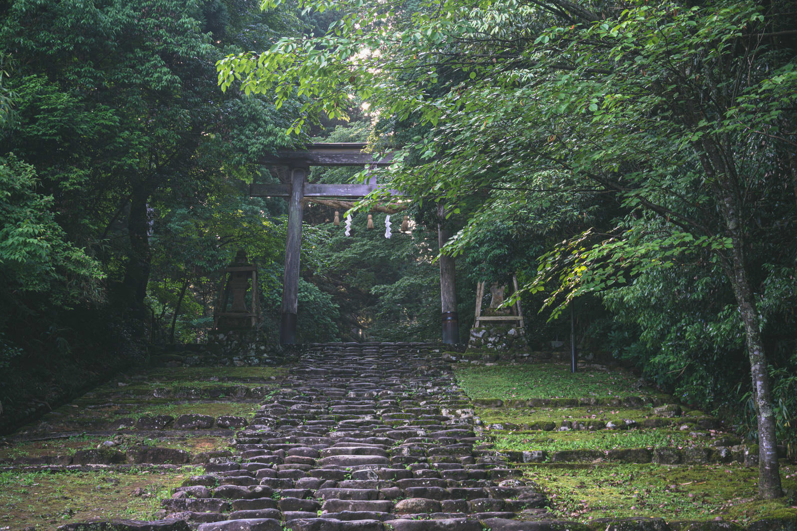 苔むした石段の参道を上った先に立つ白山神社の鳥居、緑豊かな森に囲まれた境内