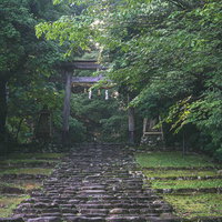 精進坂の上に建つ白山神社一の鳥居の写真