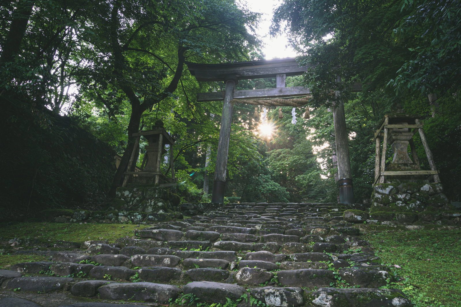 平泉寺白山神社の一の鳥居から差し込む朝日と苔むした石段