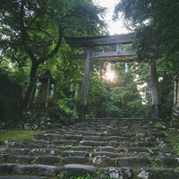 白山神社一の鳥居の中に輝く朝日の写真