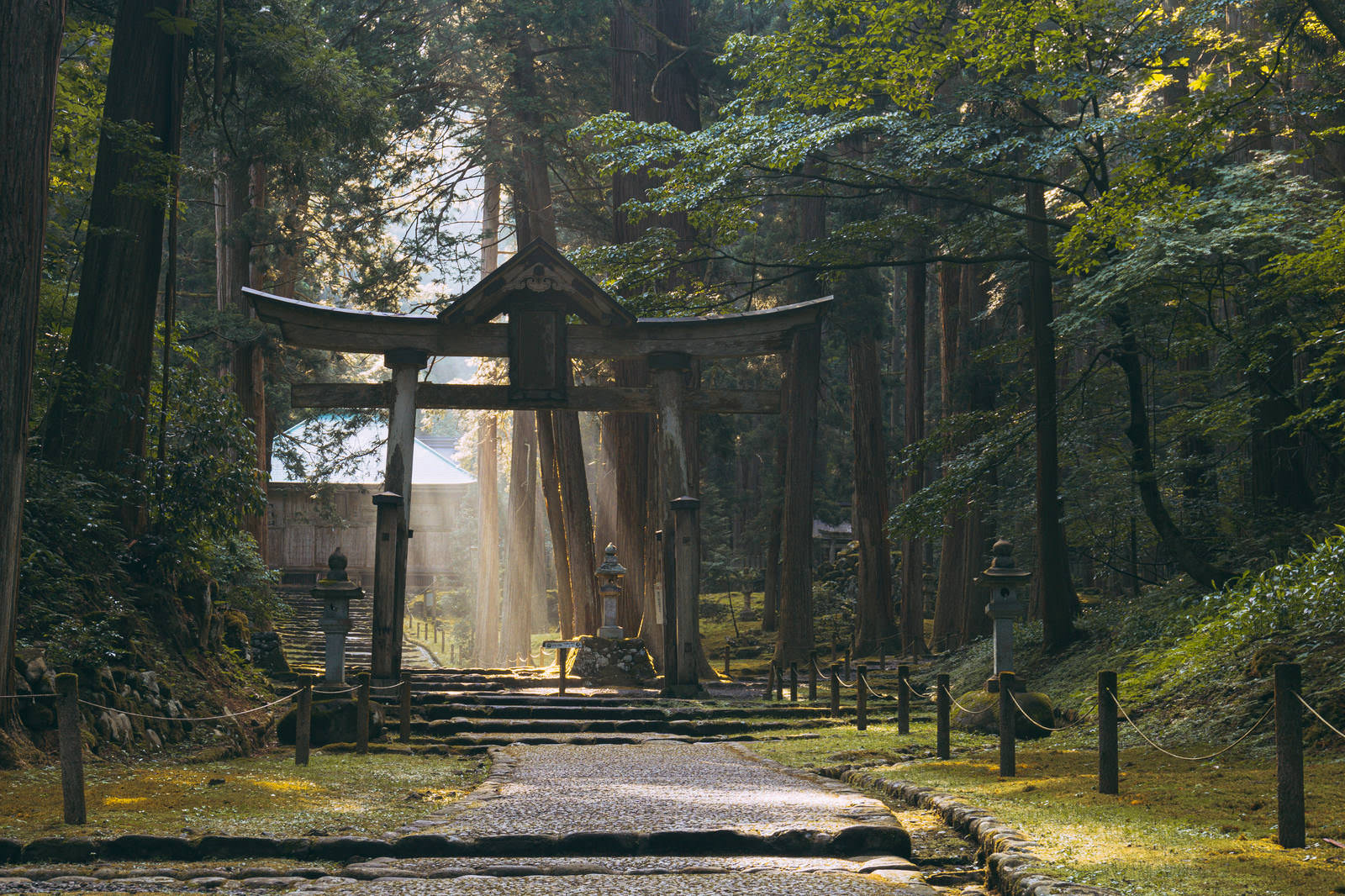 平泉寺白山神社の山王鳥居と石畳の参道