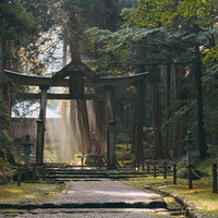 降り注ぐ光芒を背景に建つ上に三角の屋根がある仏教と神道の合一を現す山王鳥居の平泉寺白山神社の二の鳥居の写真