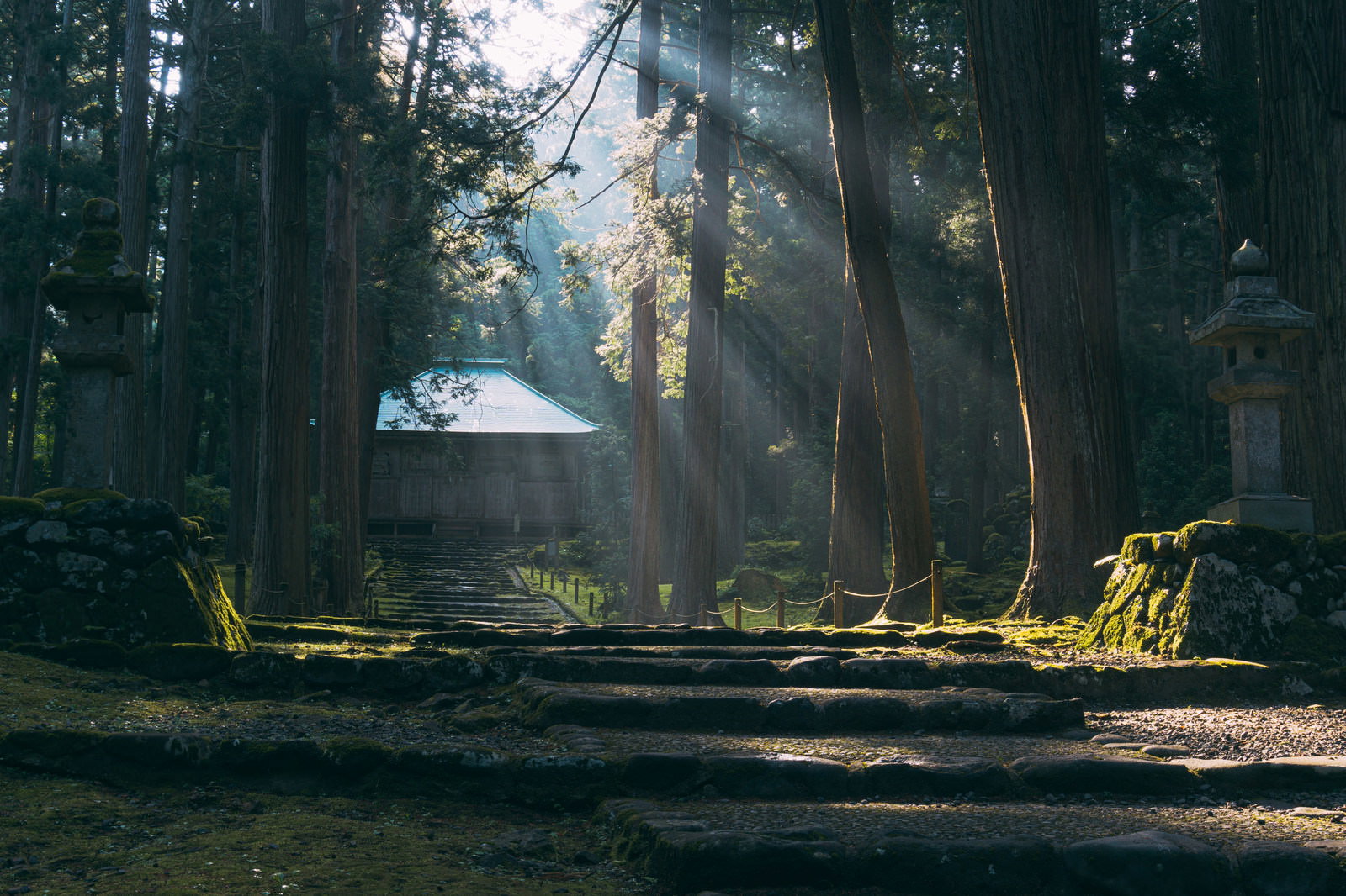 平泉寺白山神社の参道に差し込む幾筋もの光芒