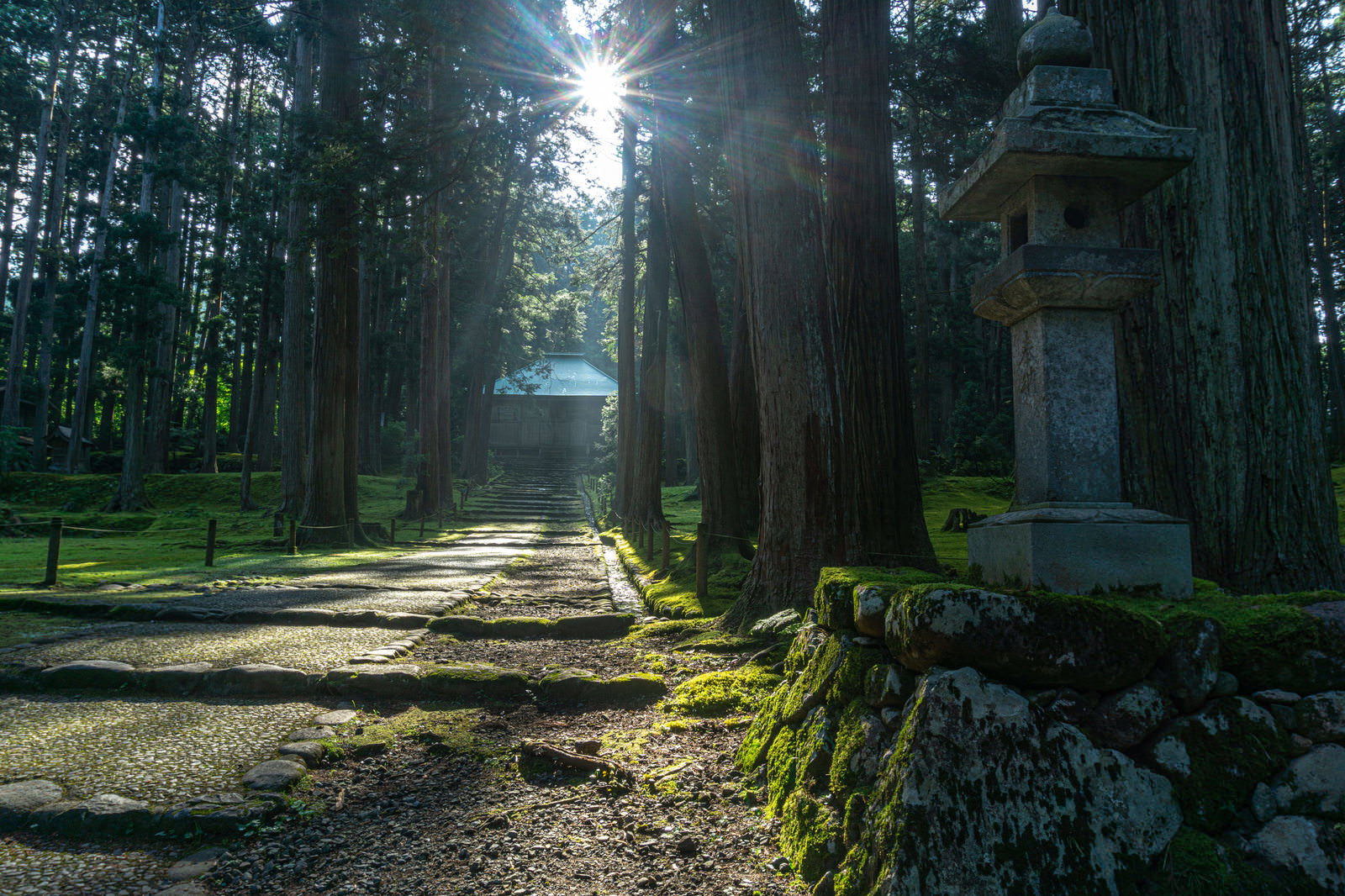 平泉寺白山神社の参道から見た拝殿と朝の太陽光が作る光芒