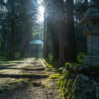 白山神社拝殿の頭上から顔を覗かせる朝の太陽の写真