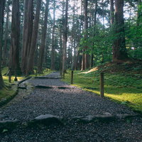 白山神社三の宮へと向かう砂利が敷き詰められた道と奥に見える開山社の鳥居の写真