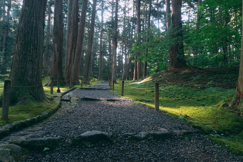 白山神社三の宮へと向かう砂利が敷き詰められた道と奥に見える開山社の鳥居
