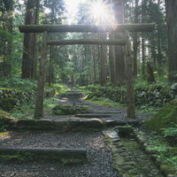 木の鳥居とその頭上に輝く朝日が迎えてくれる三の宮入り口の様子の写真