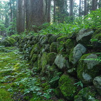 苔や雑草が生い茂る三の宮へと続く参道脇の石垣の写真