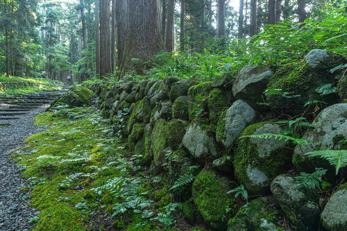 苔や雑草が生い茂る三の宮へと続く参道脇の石垣