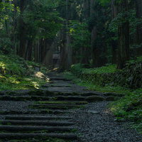三の宮へと続く参道の先にうっすらと見える光芒の写真