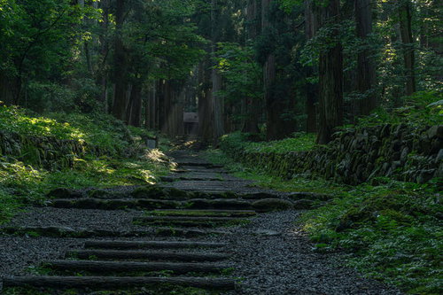 三の宮へと続く参道の先にうっすらと見える光芒