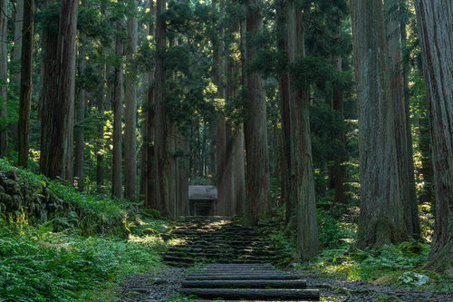 三の宮へと向かう石段に射しこむ朝の光