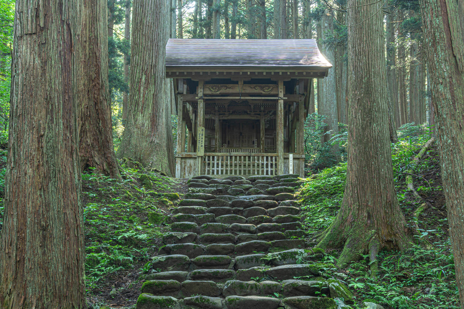 森の中の石段を上がった先にある白山神社三の宮の拝殿