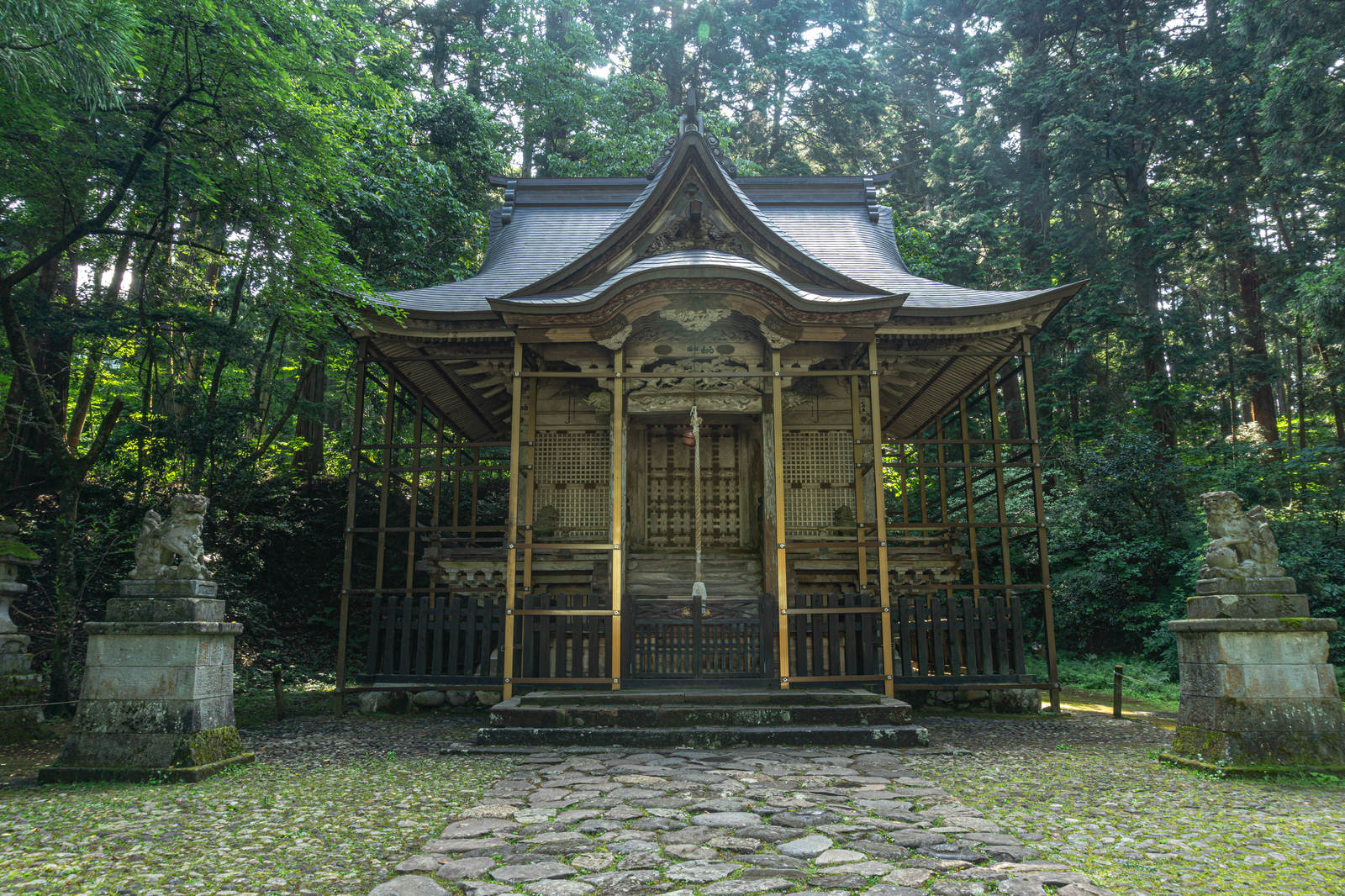 緑豊かな境内に佇む平泉寺白山神社本社の木造建築