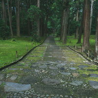 白山神社拝殿下より見た二の鳥居の写真