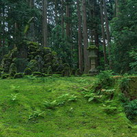 一面の苔の上に建立された忠魂碑も纏う苔の写真