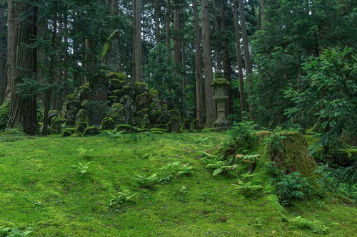 一面の苔の上に建立された忠魂碑も纏う苔