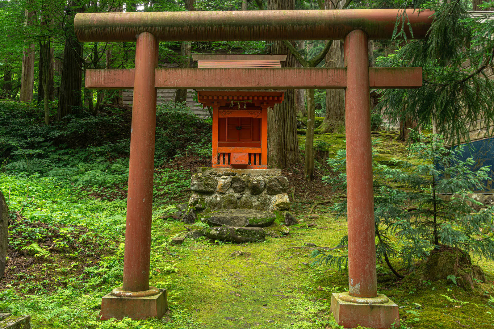 緑の苔に覆われた境内に建つ朱色の鳥居と小さな社