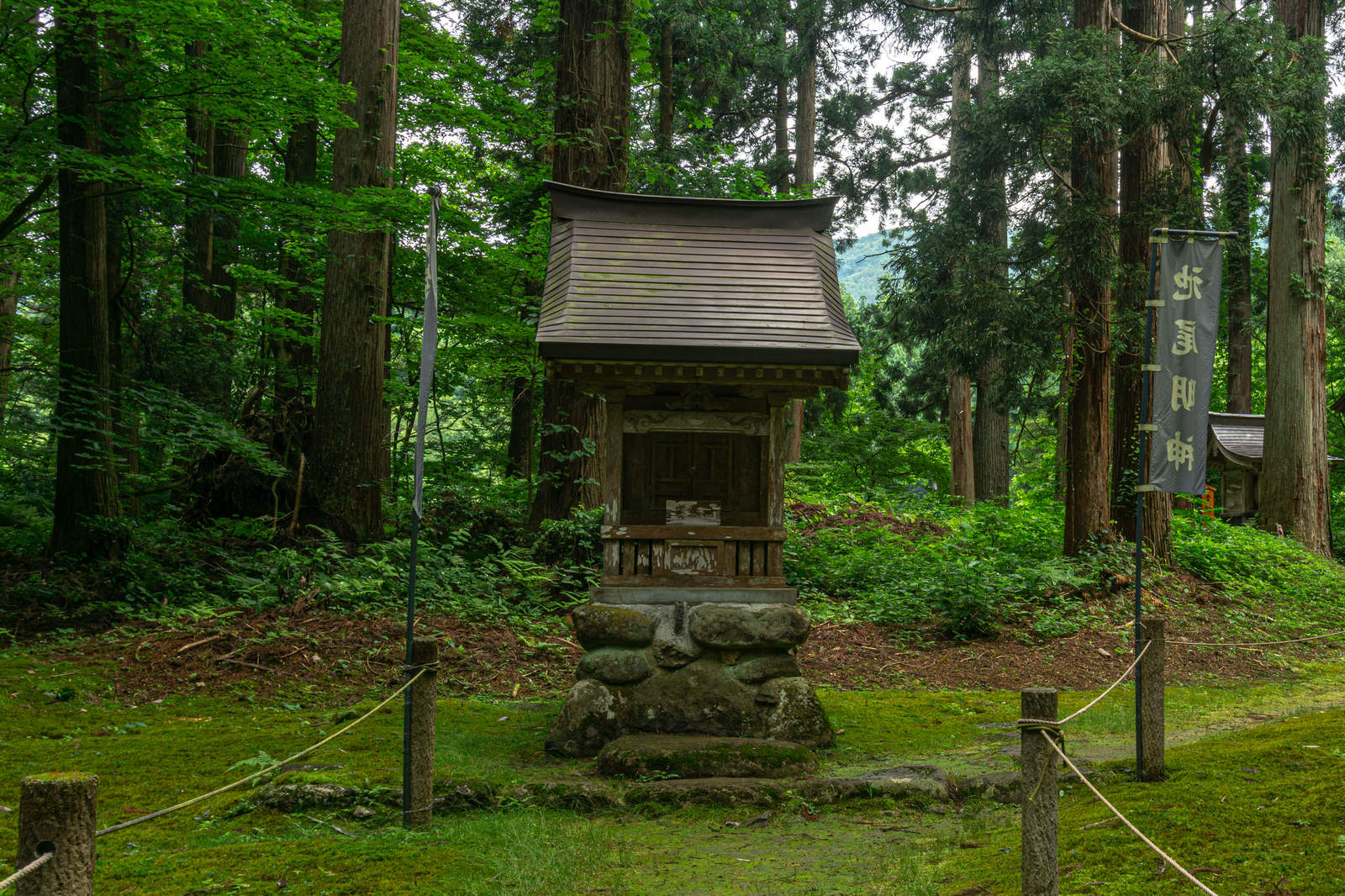 苔むした石垣の上に建つ池尾明神の社、森林に囲まれた神聖な境内の風景