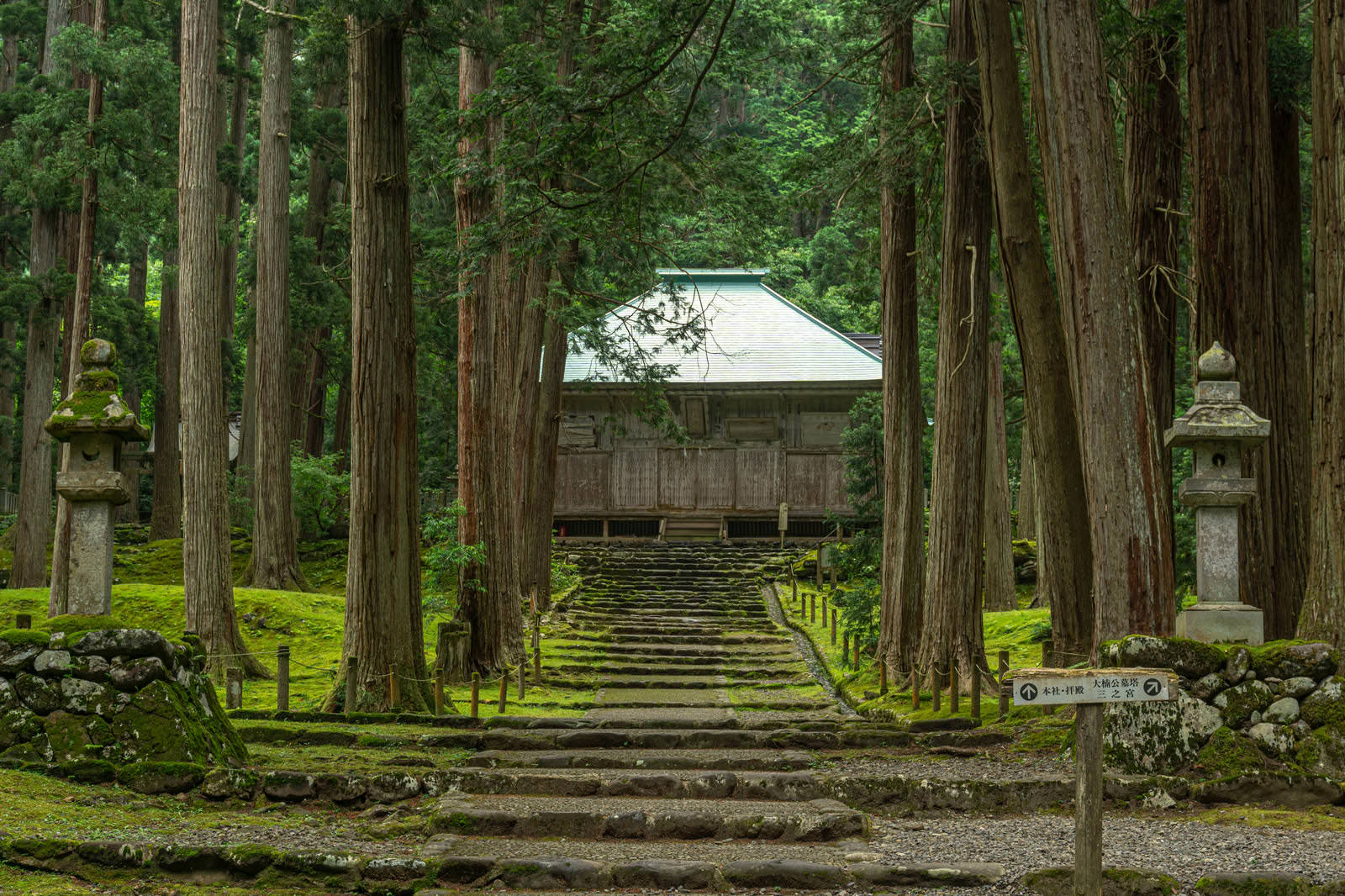 杉の森に囲まれた石段の参道、両側に石灯籠と案内板が建つ平泉寺白山神社の境内