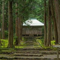 道の両脇に建つ石灯籠と案内板の写真