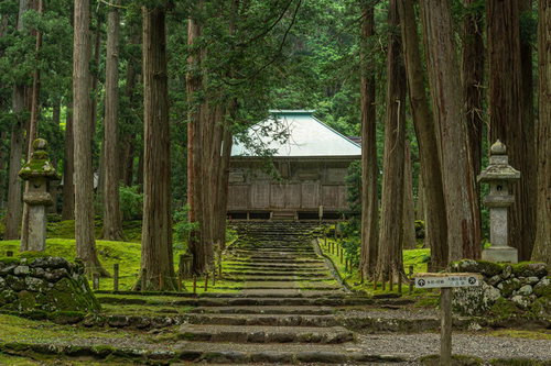道の両脇に建つ石灯籠と案内板